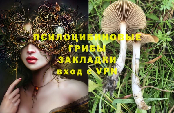 спайс Алзамай