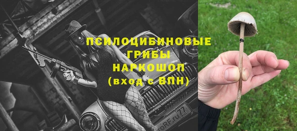spice Абаза
