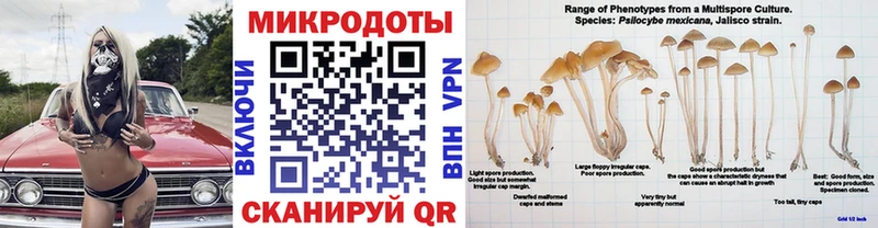 Галлюциногенные грибы мицелий  Шахты 